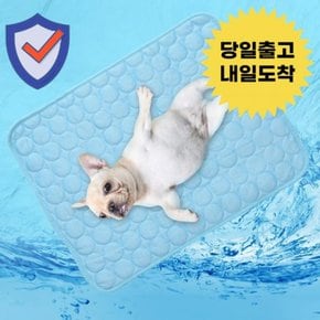 강아지 고양이 냉감 여름 쿨 애견 방석 매트