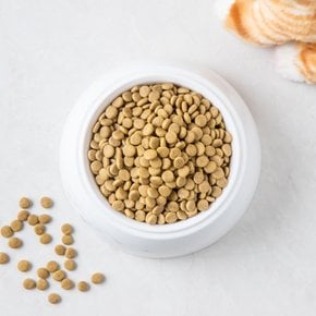 노브랜드 마푸캣어덜트2kg