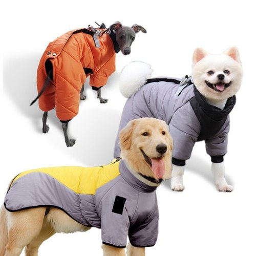 상품이미지1