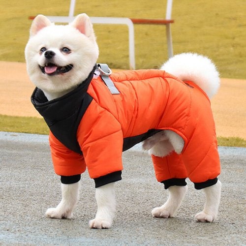 상품이미지2