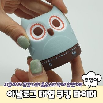  아날로그 태엽 쿠킹 타이머 부엉이 (WC3EABF)