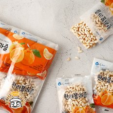 제주 한라봉과즐 256g (32gx8개입)