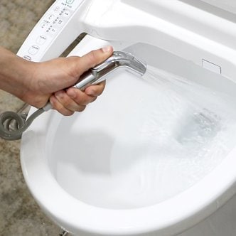 네이쳐리빙 물쎈 변기 샤워기 욕실 청소건 세트(스프링호스타입)
