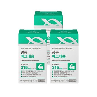 광동생활건강 광동 마그네슘 60정 x 3박스