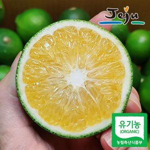 푸드마인 산지직송 제주 유기농 햇 세척 청귤(풋귤) 5kg(랜덤과)