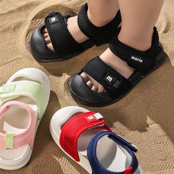 확대된 대표 image1