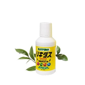 마이플랜트 하이포넥스 리키다스 식물영양제 160ml