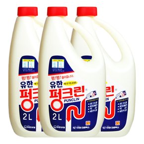 유한 펑크린 배수관 세정제 2L X 3개