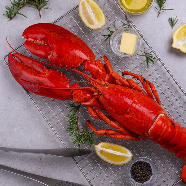 캐나다 자숙 랍스터 800~1kg 1마리 대왕랍스터 - SSG.COM