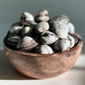 벌교 새꼬막 3kg 1kg당 110미 (소~중사이즈)[35082397]