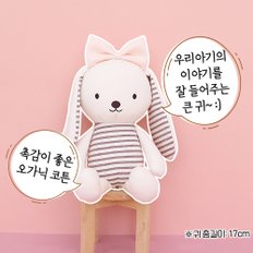 오가닉 유기농 토토리 애착인형 토끼 티나