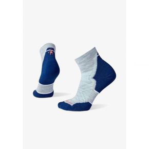 3660348 Smartwool RUN TARGETED CUSHION ANKLE - Sports socks light gray