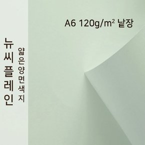 종이문화 뉴씨플레인 얇은 양면색상지 120g A6 No.49 연회색 낱장 1매 색지
