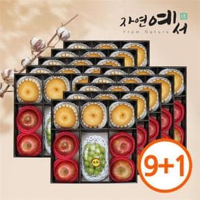 [초록자연] 명품 혼합 1호 과일선물세트(10개입) (S9348331)