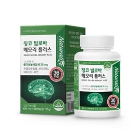 네추럴라이즈 징코빌로바 메모리 플러스 650mg x 180캡슐