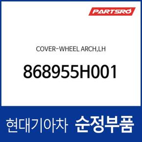 휠 아치 좌측 커버 (868955H001)  파맥스 00, 마이티2