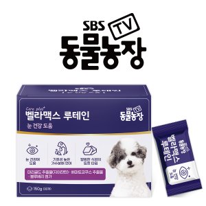  SBS TV 동물농장 루테인 강아지 눈 영양제