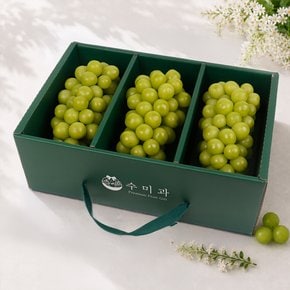 [9/22일 10시 결제건까지 명절전배송][신세계 오늘의과일]프리미엄 고당도 샤인머스캣세트2kg내외/3입_안전외피박스