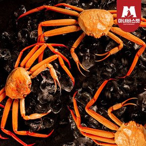 정품 자숙 박달홍게(중) 2kg (5-7미 내외)