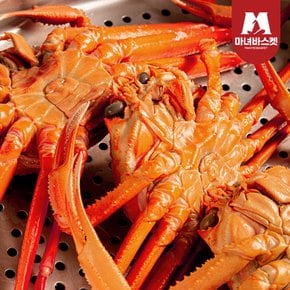 정품 자숙 박달홍게(대) 3kg (6-7미 내외)