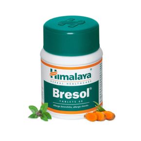 브레솔 Bresol 60정 X 2세트 기관지 영양제