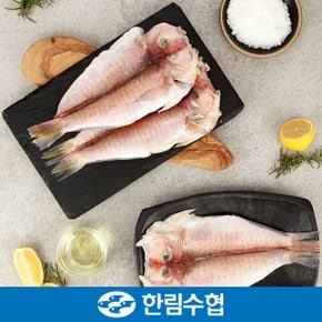 [2024 추석 ] [제주 한림수협] 옥돔 / 은갈치 / 고등어 모음전