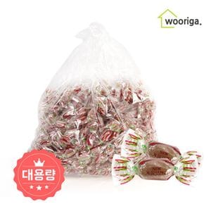 NS홈쇼핑 GG 계피맛캔디 4kg×1개 대용량사탕 업소용사탕 사탕 캔디 계피사탕..[29837350]