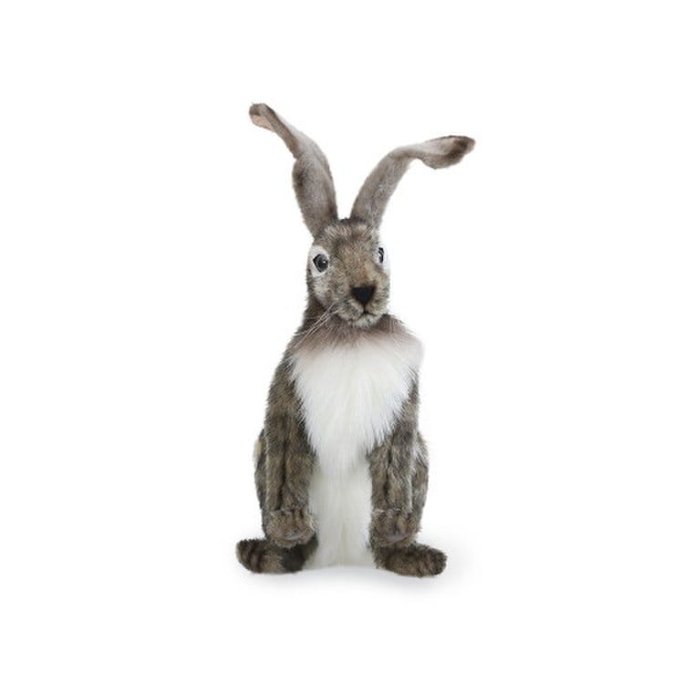토끼 한사토이] 5283 잭래빗 토끼 동물인형/30cm.L - SSG.COM
