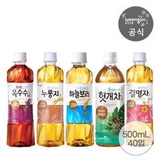 웅진 하늘보리 외 차음료 500ml 20+20펫 2박스(옥수수수염차/결명자...