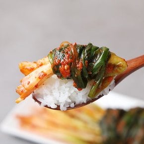 여수 전라도손맛 매콤알싸 파김치 2kg