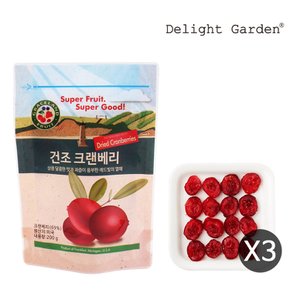 건조과일 크랜베리200g x 3