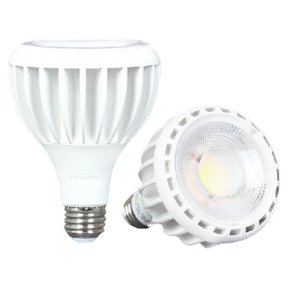 LED PAR30 30W 집중형
