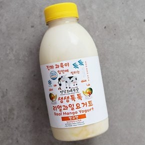 평창보배목장 망고맛 요거트 500ml