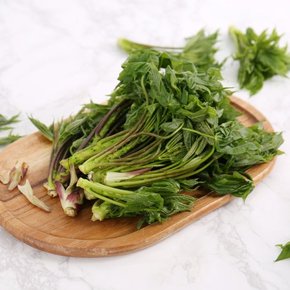 산지직송 일월산 유기농 개두릅(엄나무순) 1kg