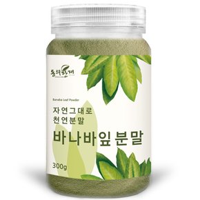 바나바잎 분말 가루 300g