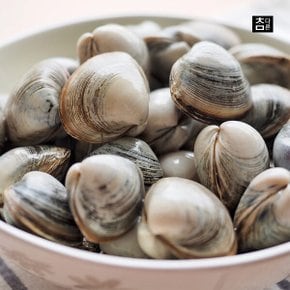 참다른 당일손질 동죽(물총조개) 1kg