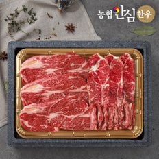 [1/13(월)이후 순차출고][농협안심한우] 1등급 한우 구이채반선물세트 900g(등심300g+채끝300g+특수부위300g)