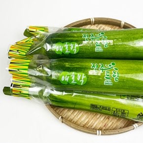 국내산 특품 애호박전 호박고지 둥근호박 인큐애호박 300g*20개