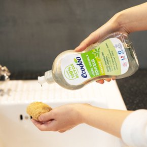 프랑스 주방세제 버베나 500ml