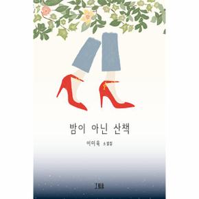 밤이 아닌 산책 - 호밀밭 소설선 소설의 바다 5