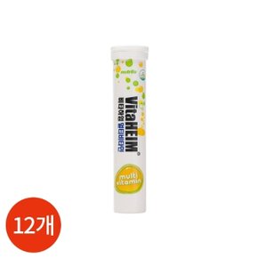 오렌지맛 발포비타민 멀티비타민 12개입