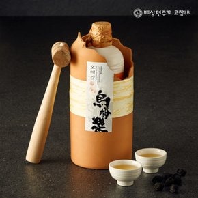 [9/12 오후1시 결제 건까지 명절전배송] 배상면주가 세레모니주 오매락 퍽 500ml(40%) (망치+퍽토기 포함) 전통주 매실주 술선물세트 선물포장