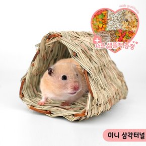 미니 삼각터널 햄스터 앵무새 장난감 은신처 05733