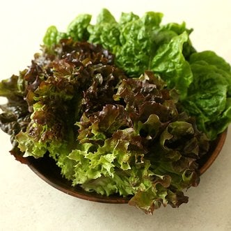 맛군 당일수확 국내산 싱싱한 로메인 청상추 꽃상추 1kg 샐러드상추