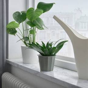 BUSKVERK 화분 그레이 9cm