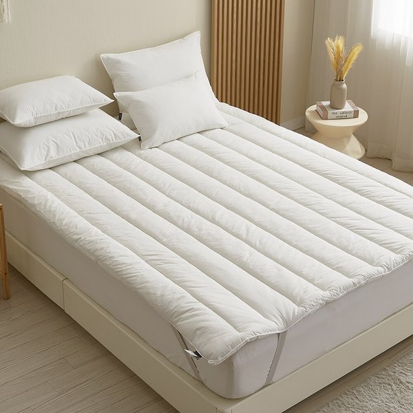 샤르르 파우제 60수 순면 밴딩 토퍼 침대패드 Q