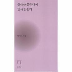 울음을 불러내어 밤새 놀았다-116(현대시세계시인선)