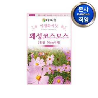 다농 왜성 코스모스 (혼합) 씨앗 1kg (70cm이하) . 키작은 야생화 꽃씨 종자