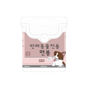 면봉 80개입 애견 강아지 고양이 면봉 귀청소 용품