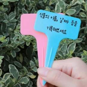 꽂이형 식물 이름표 스카이블루